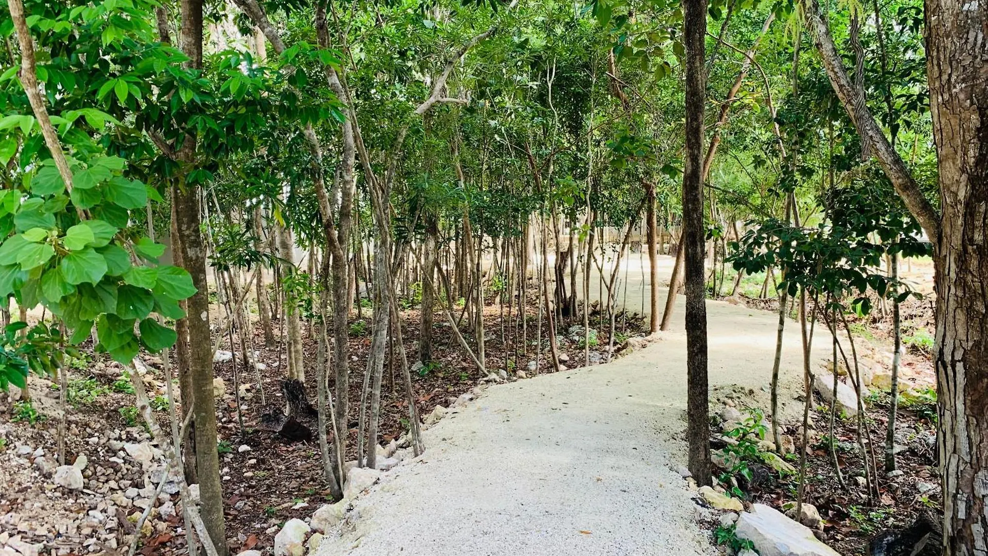 Gran Dpto De Lujo Playa Apartment Playa del Carmen Mexico