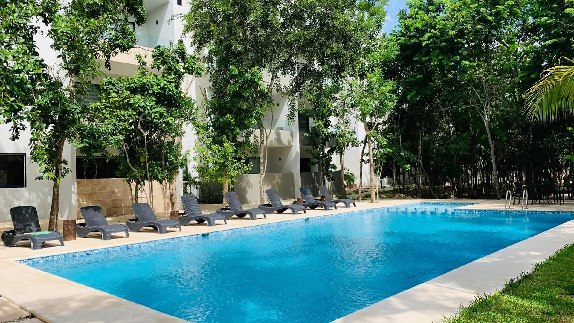 Gran Dpto De Lujo Playa Apartment Playa del Carmen